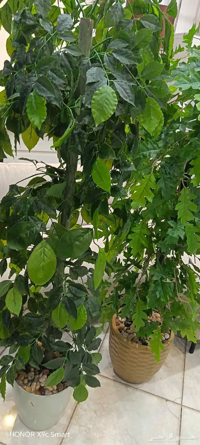 أشجار بلاستيك 0