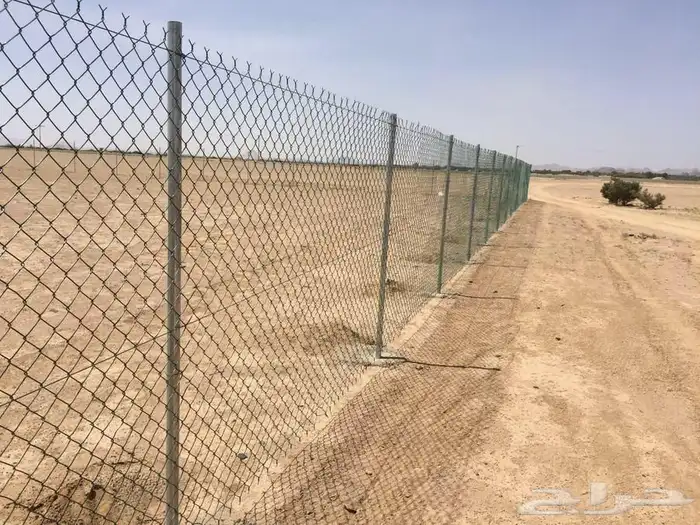 الرياض 8