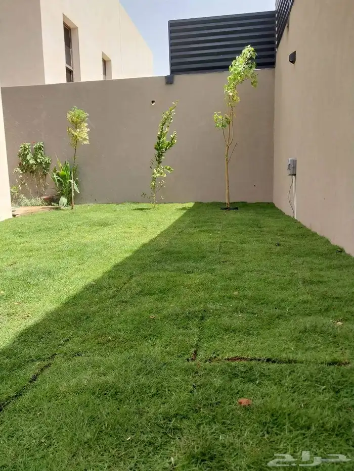 ثيل طبيعي درجه اولى C2000 فرنسي 2