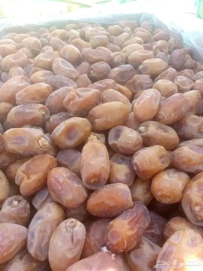 عندنا اتمر الفخر اليوم 0