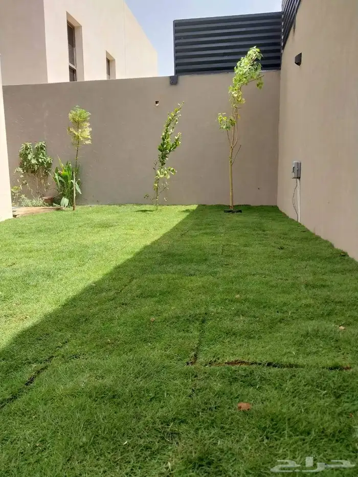 ثيل طبيعي درجه اولى C2000 فرنسي 0
