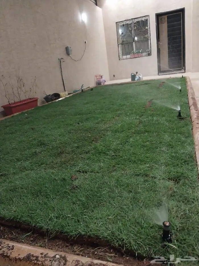 ثيل طبيعي درجه اولى C2000 فرنسي 1