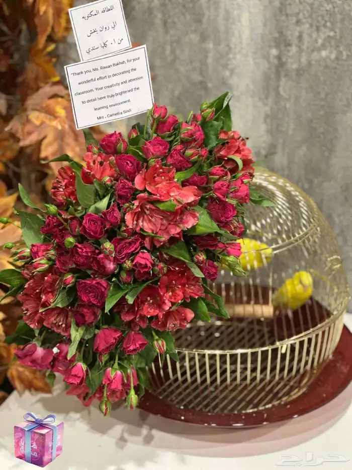 عروض اليوم الوطني95 - عرض اليوم الوطني95 0