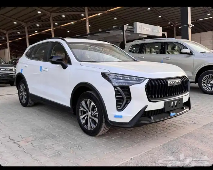 هافال جوليان 2025 0