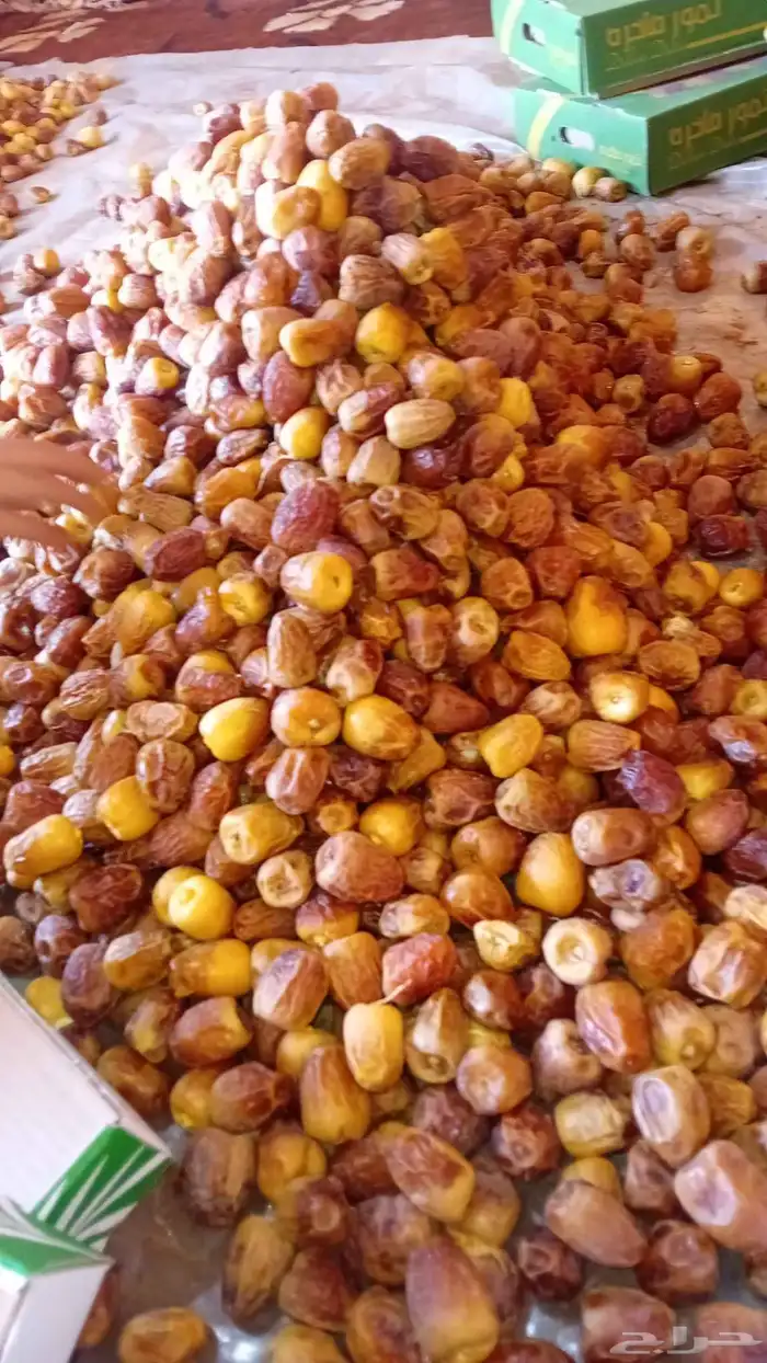 تمور بقعاء 2