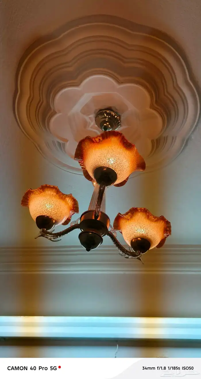 نجفات 10 للبيع 2