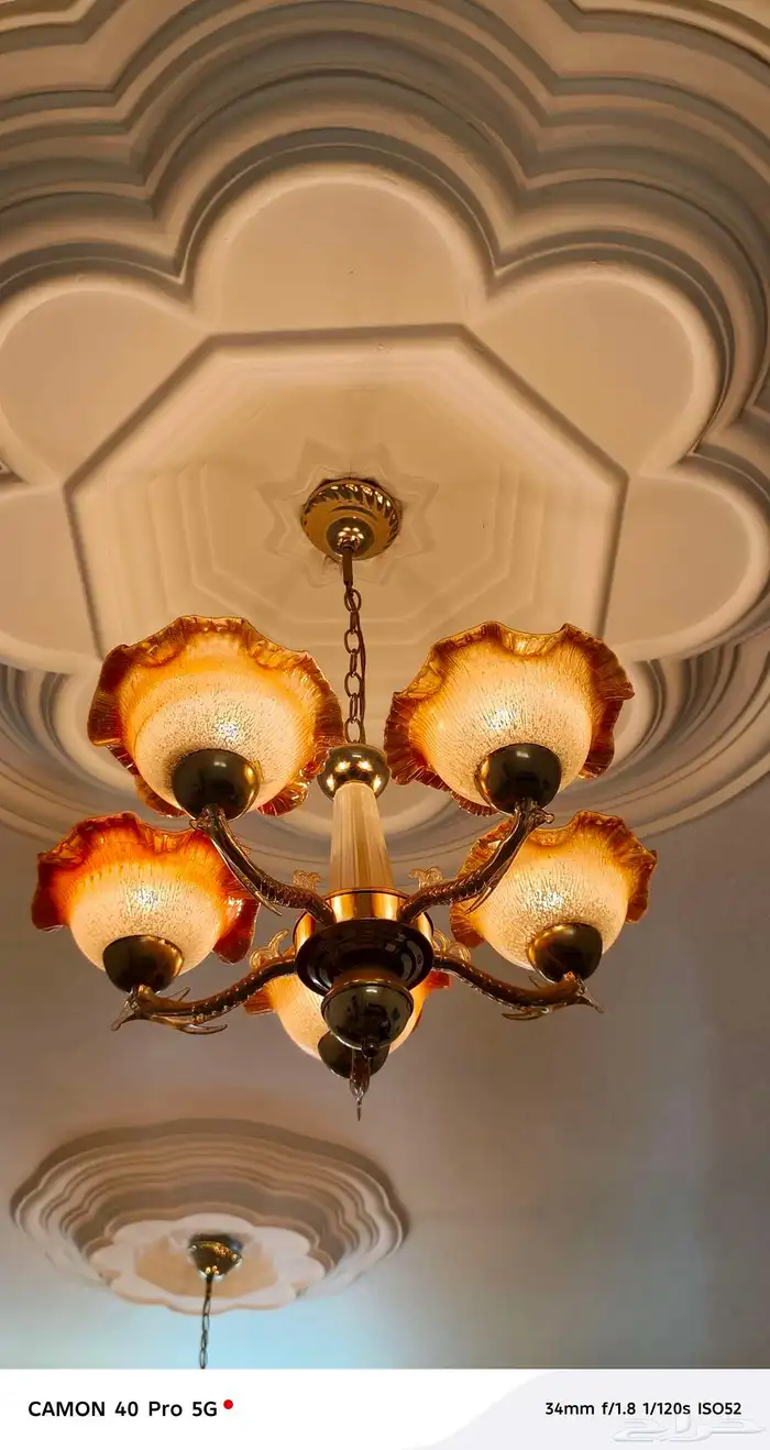 نجفات 10 للبيع 0