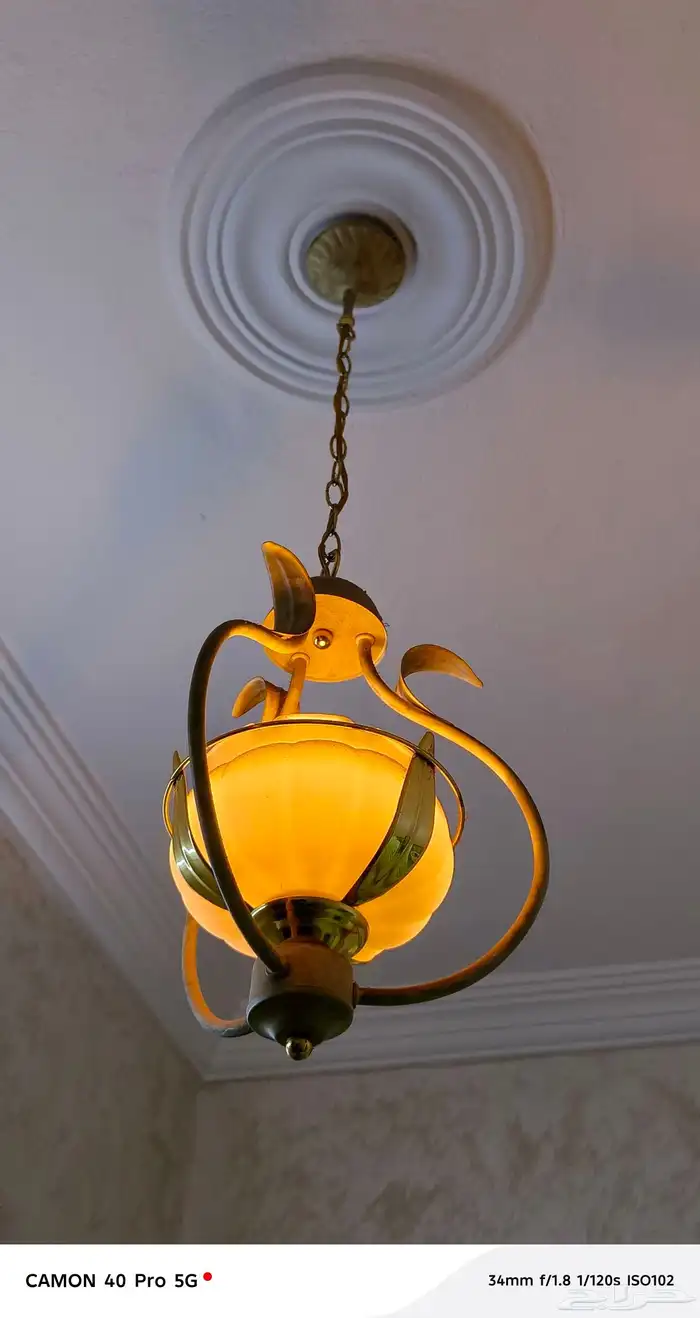 نجفات 10 للبيع 1