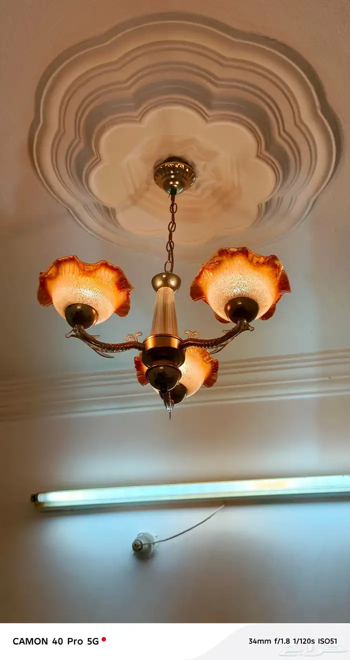 نجفات 10 للبيع 4