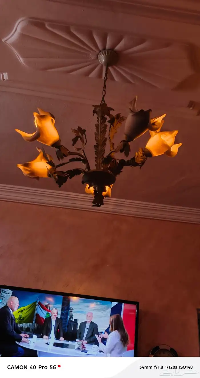 نجفات 10 للبيع 3