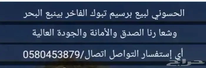 برسيم تبوك صافي فاخر من الاخر 5
