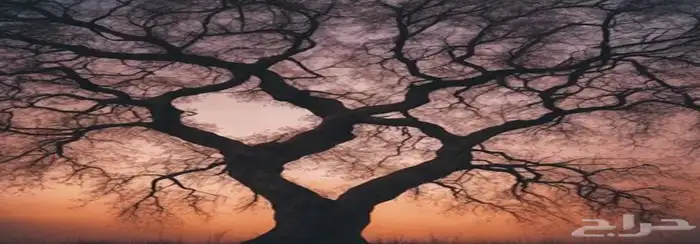 لوحة جدارية مضيئة 0