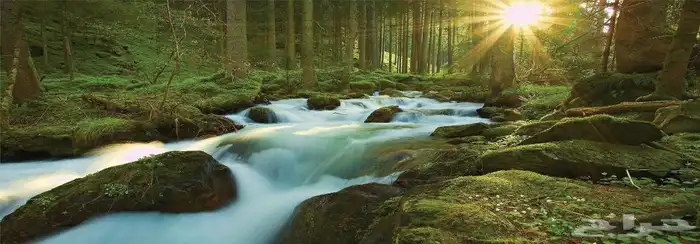 لوحة جدارية مضيئة 1