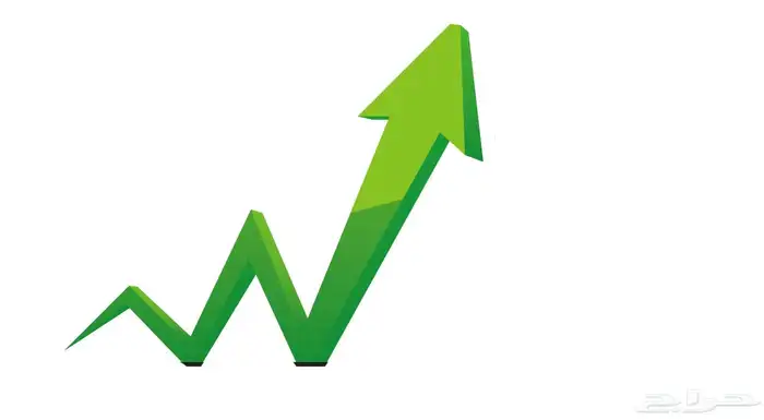 بيع اسهم في جمعية تعاونية سياحية 0