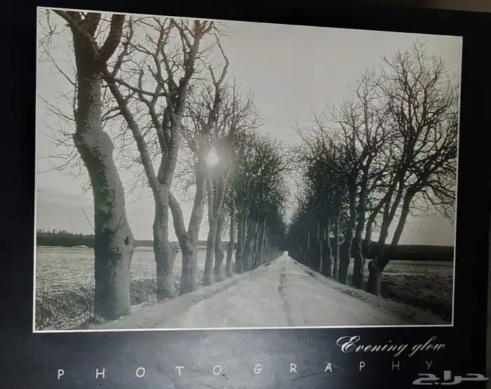 لوحه فتغرافيه للبيع 3