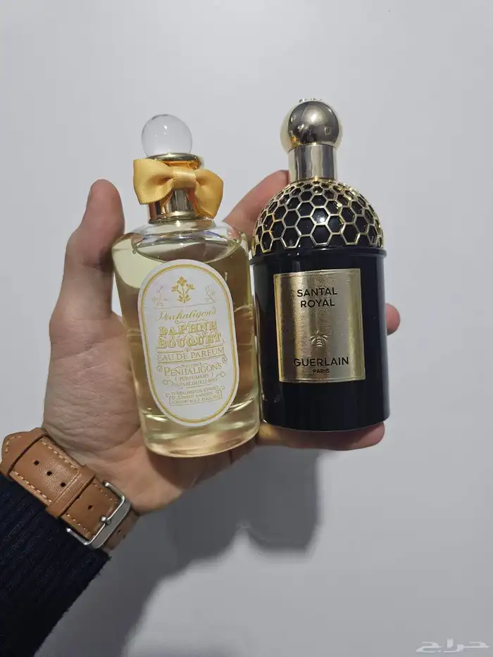 عطور نيش 27