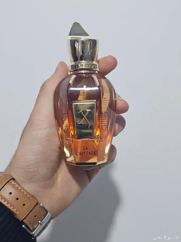 عطور نيش 2
