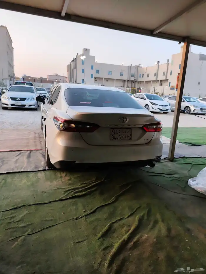 القطيف 2