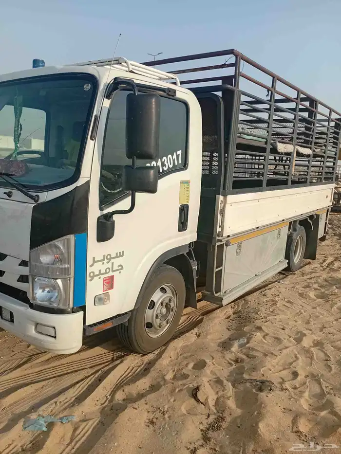 دنا طابقين نقل غنم 0