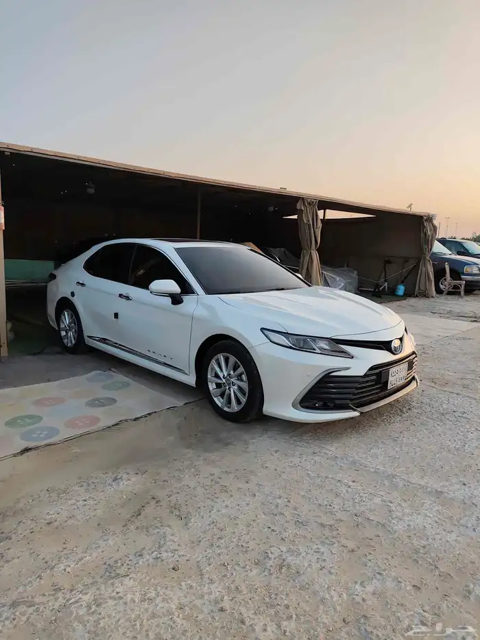 القطيف 1