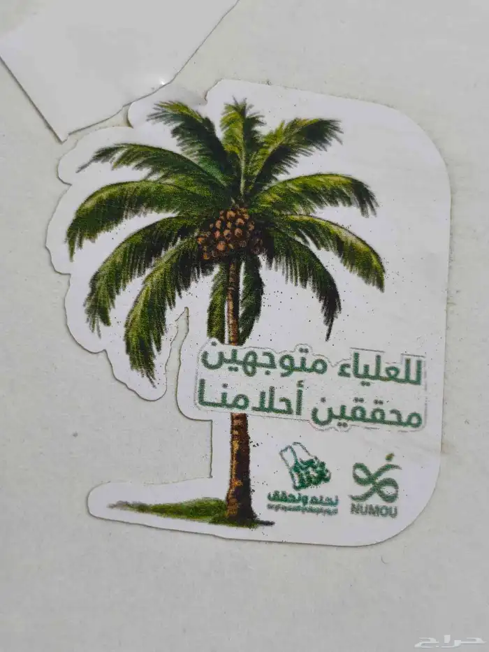 كروت-فواتير-أكياس-بوكسات-بروشورات-فولدرات-لوقو جلد و قماش 1