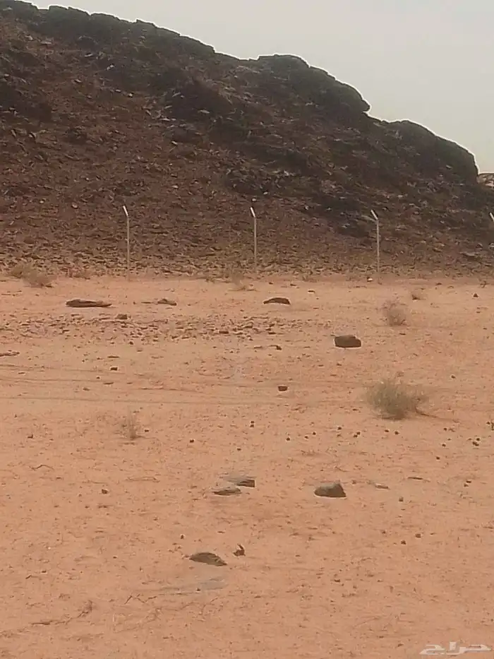 تركيب شبوك مزارع شبوك استراحات 9