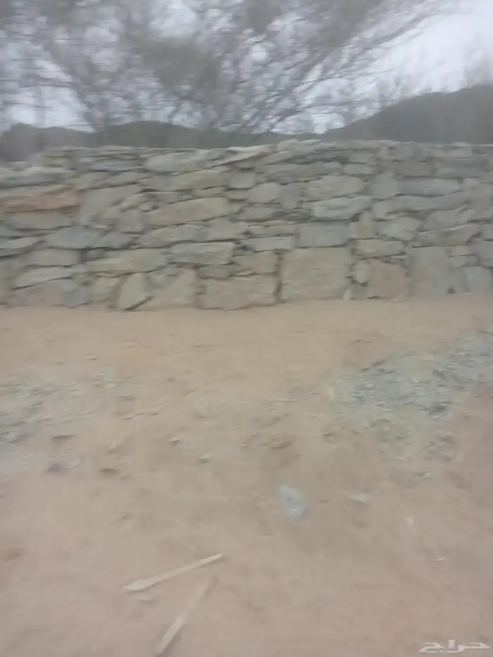 معلم حجار علا نوعه 5