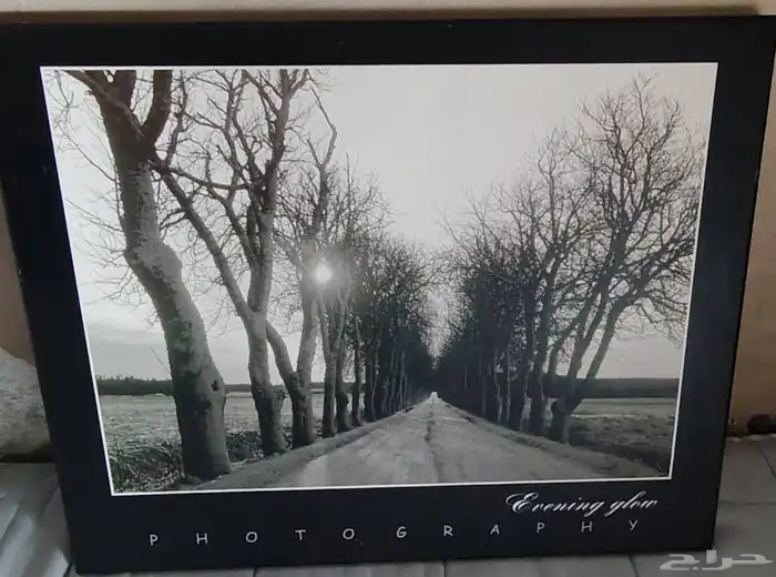 لوحه فتغرافيه للبيع 1