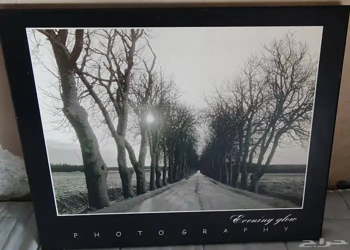 لوحه فتغرافيه للبيع 2