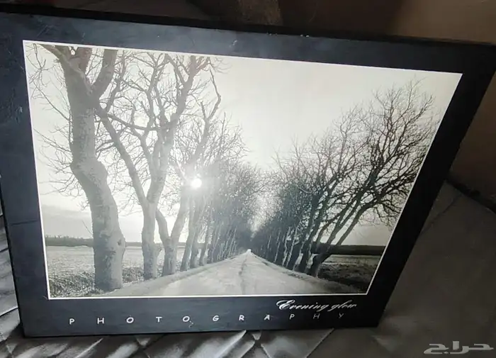لوحه فتغرافيه للبيع 0