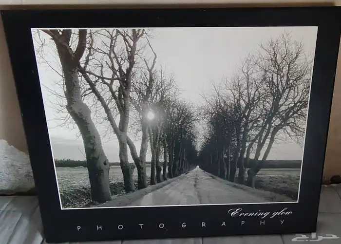 لوحه فتغرافيه للبيع 4