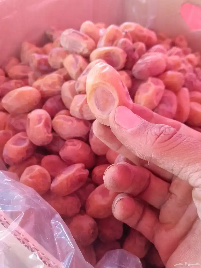 تمور فاخره للبيع اخلاص 3