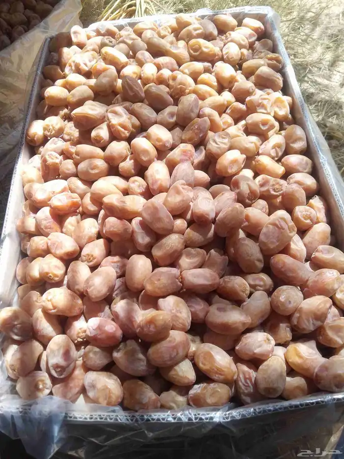 تمور فاخره للبيع اخلاص 2