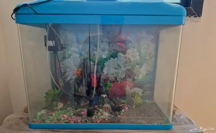 حوض سمك للبيع 0