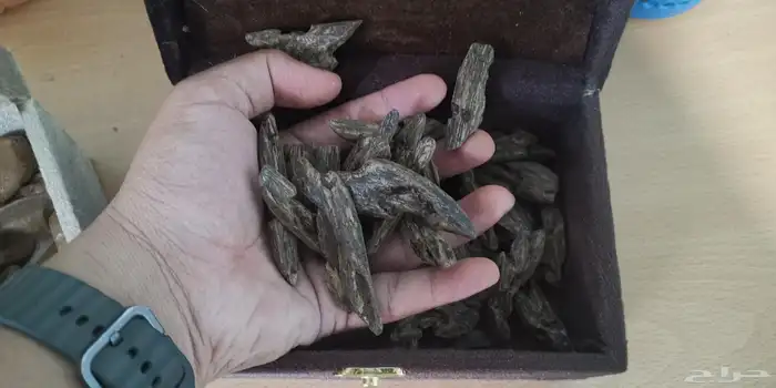 عود كلمنتان بنتلي محسن فاخر مناسب للمناسبات والمساجد 0