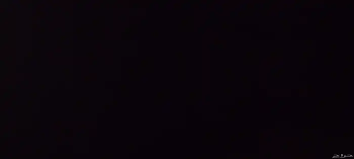 مطلوب أي طير أليف ل التبني 0