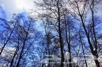 لوحة جدارية مضيئة 3