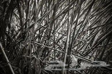 لوحة جدارية مضيئة 6