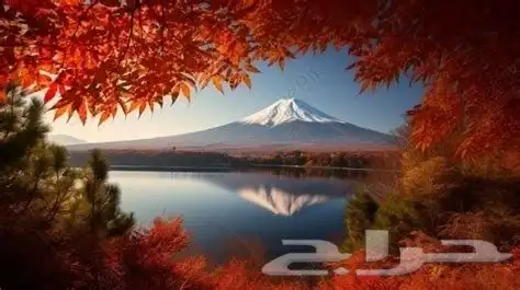 لوحة جدارية مضيئة 2