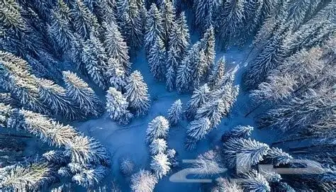 لوحة جدارية مضيئة 7