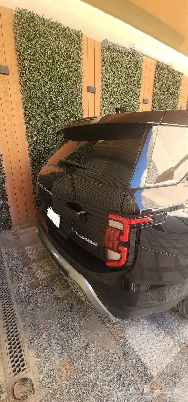 سانج يونج توريس 1