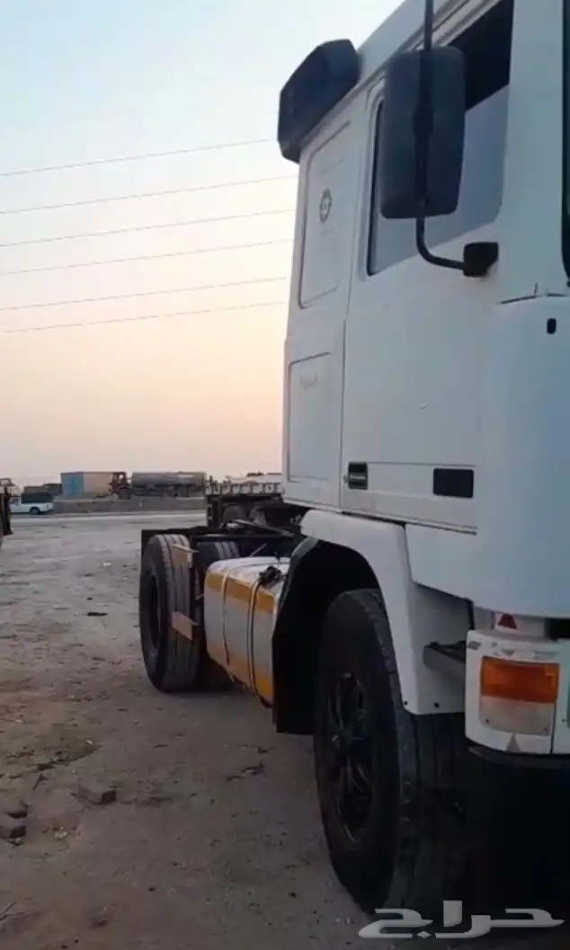 راس فلفو الزاهد 0