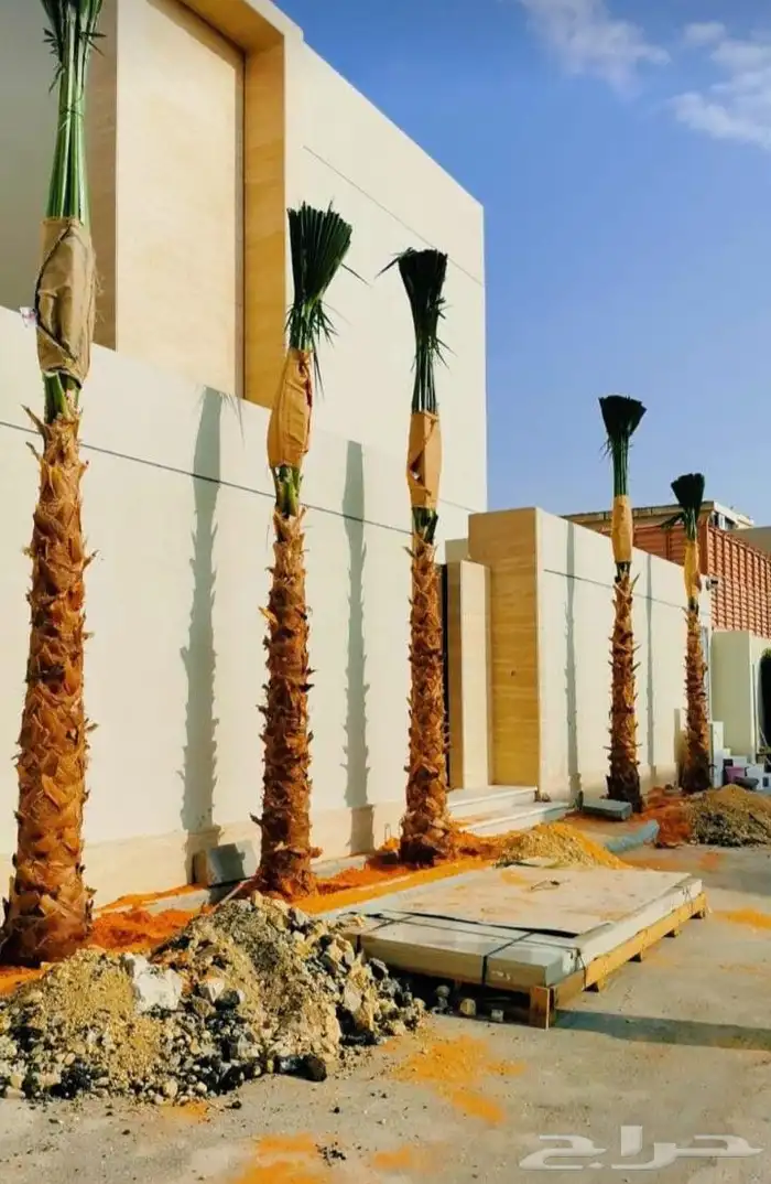 اعمال التراث 7