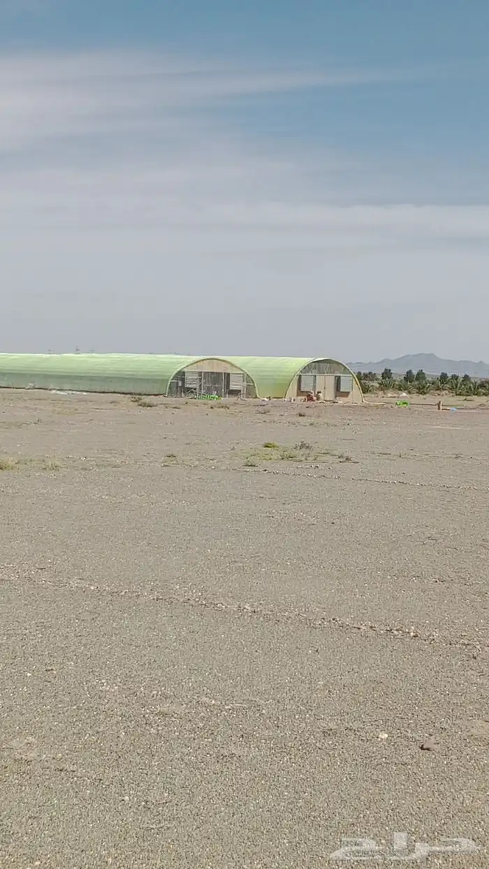 معلم بيوت محمي 0