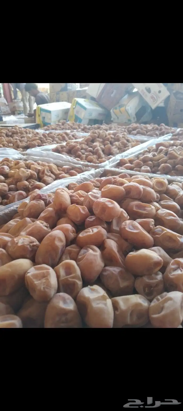 تمور فاخره للبيع اخلاص 8