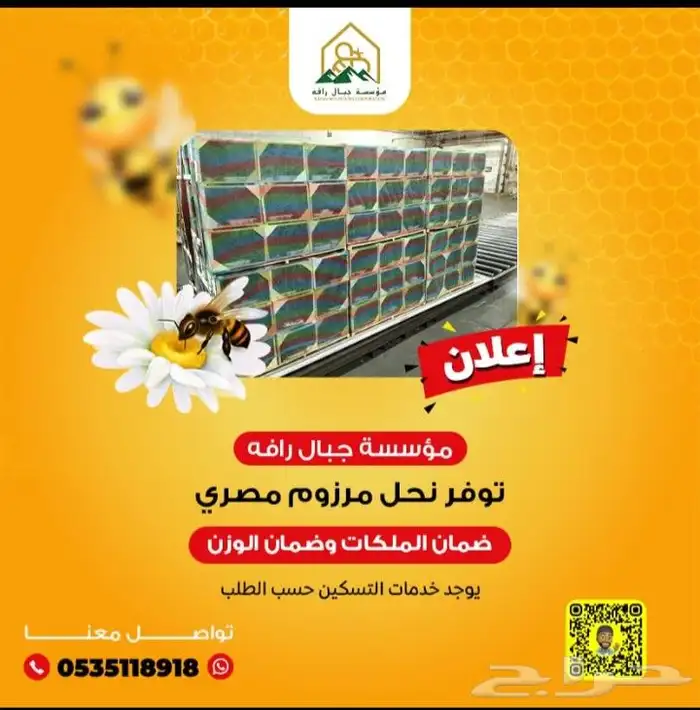 نحل مصرى 0