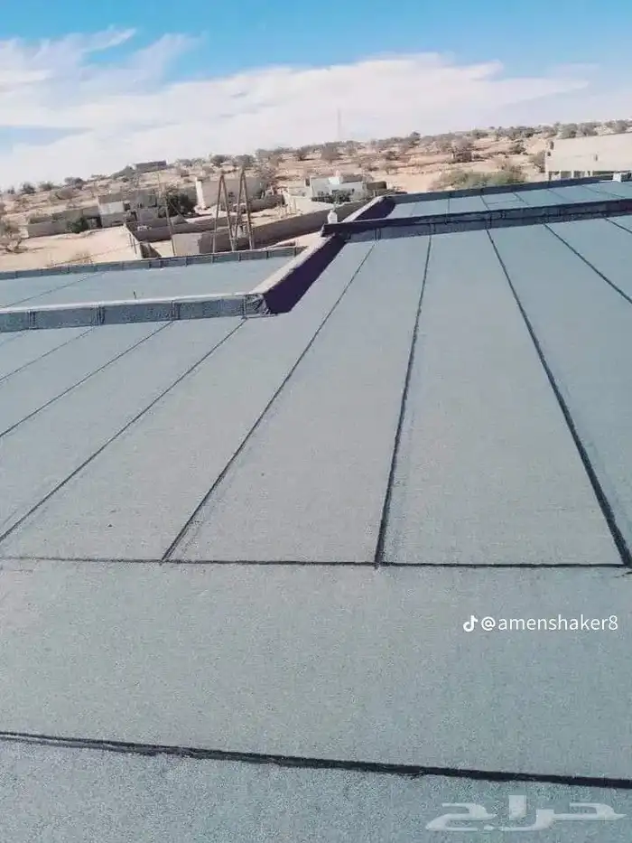عمال الاسفلت العوازل والقار 2