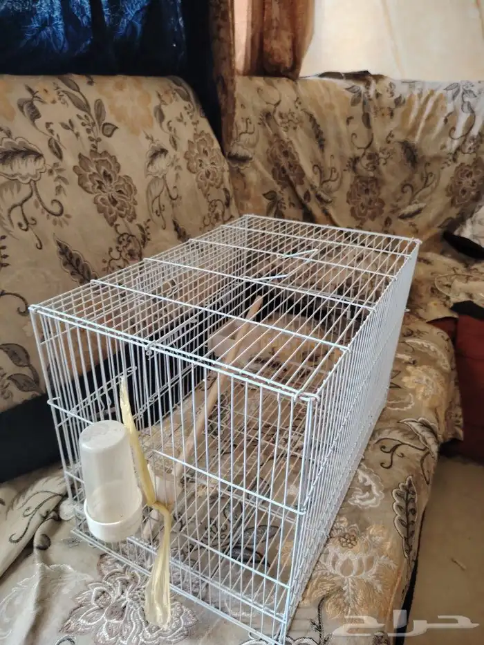 فقص عصافير كبير للبيع 1