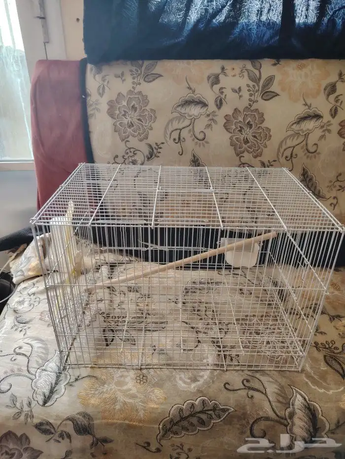 فقص عصافير كبير للبيع 0