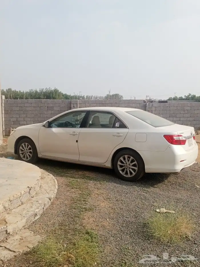 اروين 2013 0